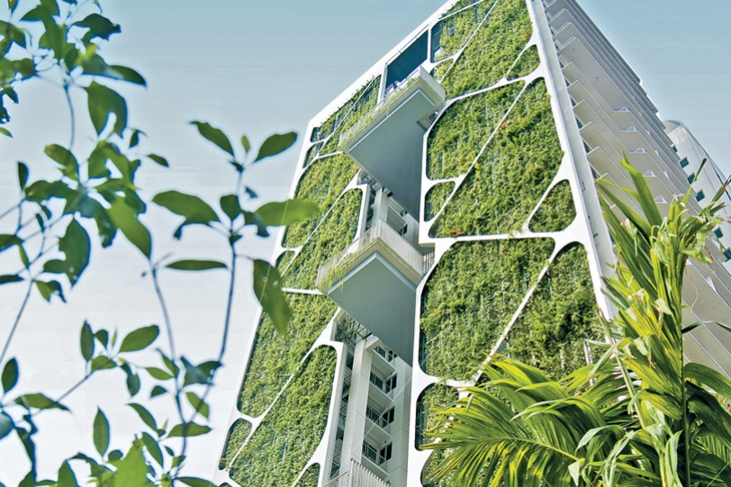 Greening Singapore’s Urban Landscape