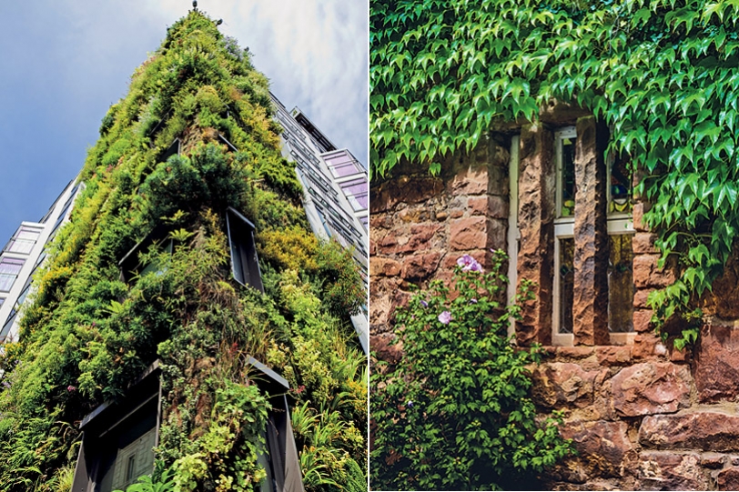 Singapore&rsquo;s Green Building Journey