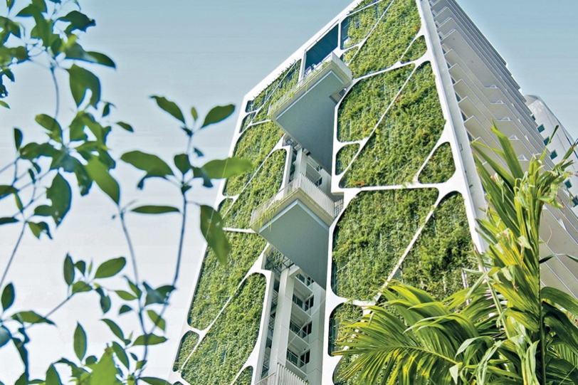 Greening Singapore&rsquo;s Urban Landscape