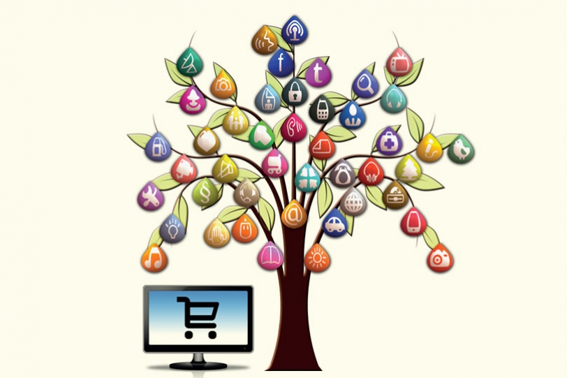 Consumers and the Internet